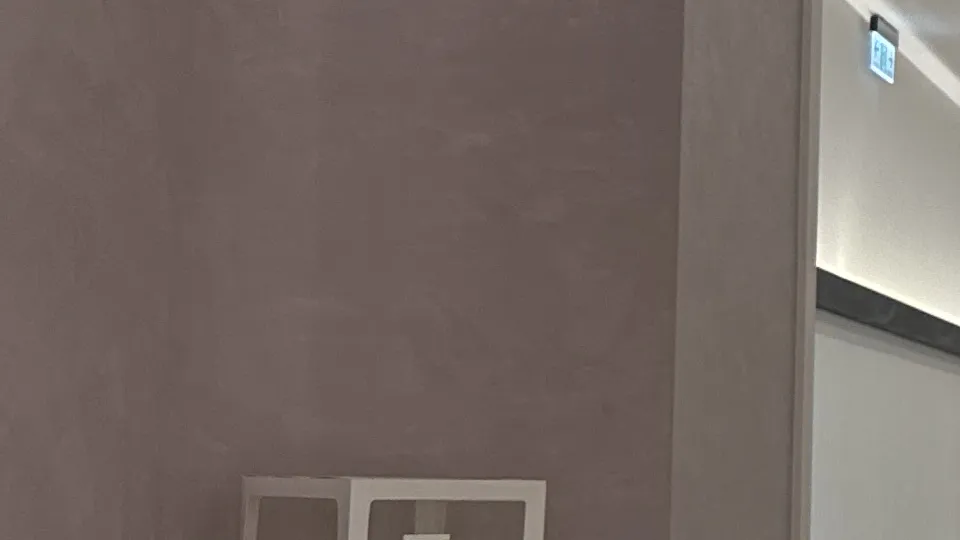 蘆洲安妞美學診所